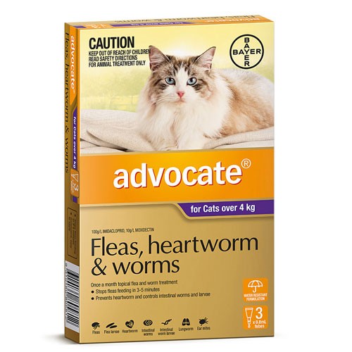 ADVOCATE CAT LARGE 4KG PLUS 3's PURPLE