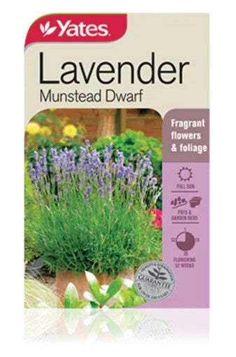 SEED - LAVENDER MUNSTEAD DWARF