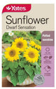 SEED - SUNFLOWER DWARF SENSATION