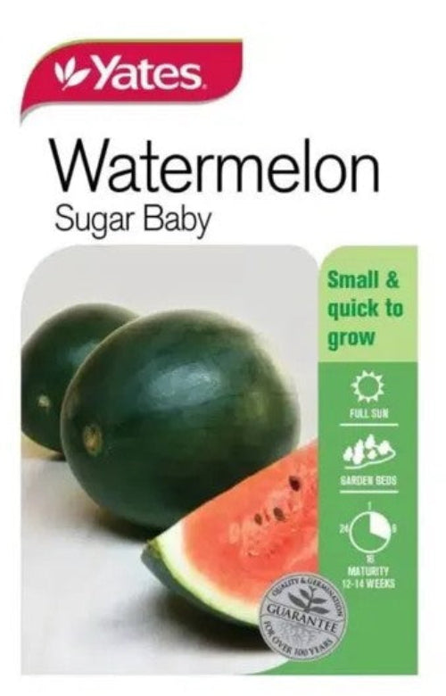 SEED - WATERMELON SUGAR BABY