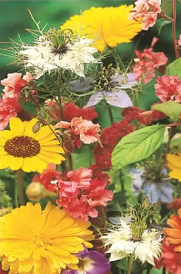 SEED - FESTIVAL OF FLOWERS YATES