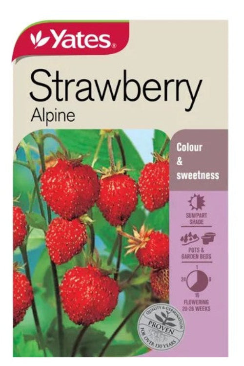 SEED - STRAWBERRY ALPINE