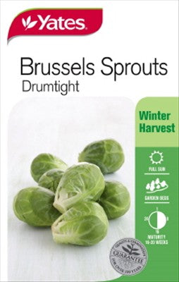 SEED - BRUSSELS SPROUTS 