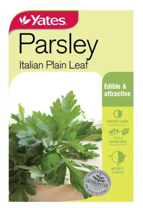SEED - PARSLEY ITALIAN PLAIN LEAF