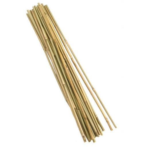 BAMBOO STAKES 90CM PACKET OF 20