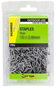 STAPLES PLAIN GALVANISED 500G [Size:15 x 2.0mm]