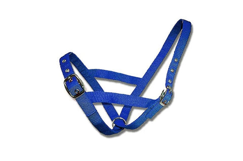 HALTER CATTLE BULL WEBBED [Clr:Blue]