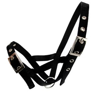 HALTER WEBBED CATTLE [Size:Cow Clr:Black]