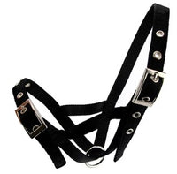 HALTER WEBBED CATTLE [Size:Cow Clr:Black]
