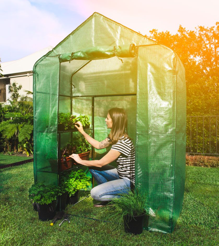 WALK-IN GREEN HOUSE HOLMAN 1M X 1M
