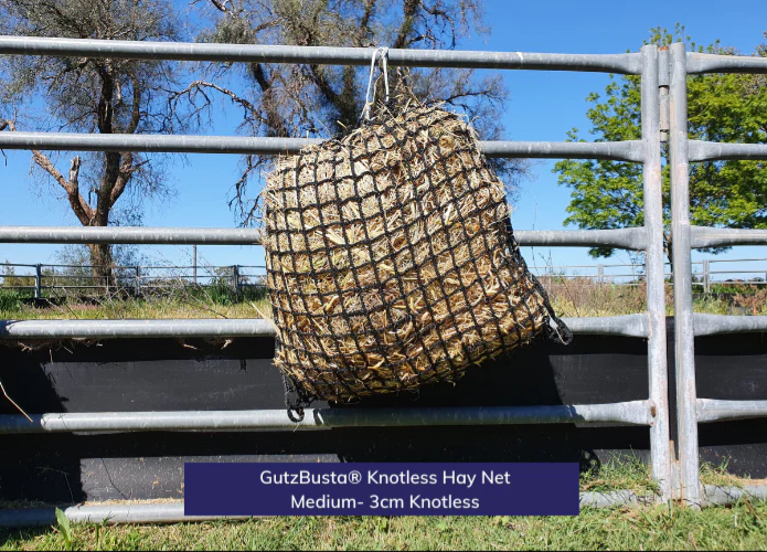 HAYNET GUTZBUSTA MEDIUM [Type:Knotless Size:30mm Clr:Black]