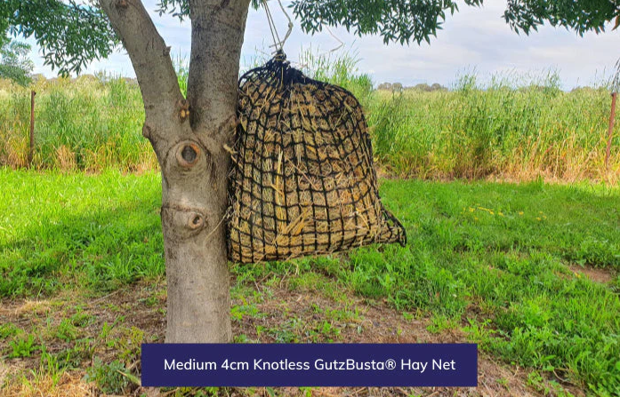 HAYNET GUTZBUSTA MEDIUM [Type:Knotless Size:40mm Clr:Black]
