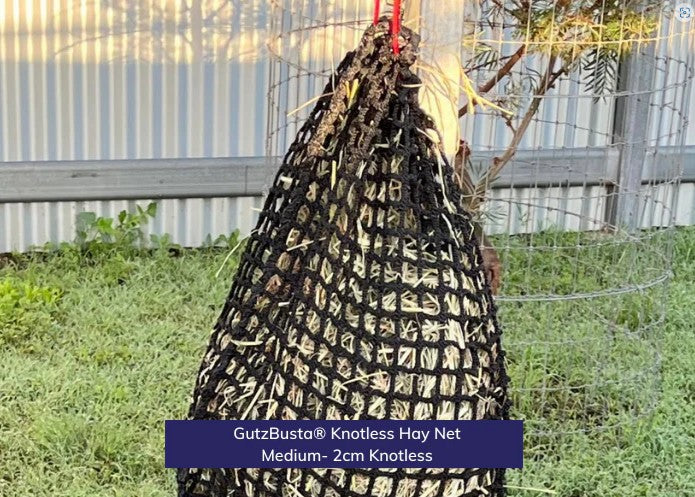 HAYNET GUTZBUSTA 20MM - EXTREME SLOW FEED [Type:Knotless Size:4 - 6 Biscuits Clr:Black]