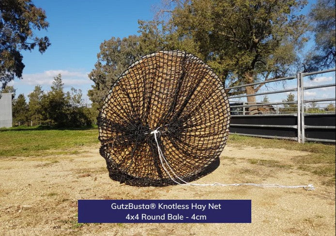 HAYNET GUTZBUSTA 20MM - EXTREME SLOW FEED [Type:Knotless Size:Round 4' x 4' Clr:Black]