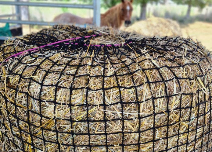 HAYNET GUTZBUSTA 20MM - EXTREME SLOW FEED [Type:Knotless Size:Round 5' x 4' Clr:Black]