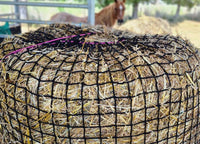HAYNET GUTZBUSTA 20MM - EXTREME SLOW FEED [Type:Knotless Size:Round 5' x 4' Clr:Black]