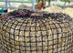 HAYNET GUTZBUSTA  ROUND 20MM - EXTREME SLOW FEED [Type:Knotless Size:Round 5' x 4' Clr:Black]