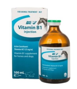 NV VITAMIN B 1 INJECTION 100ML