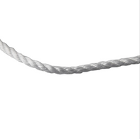 ROPE SUPER SILVER WHITE PER METER [Size:10mm]