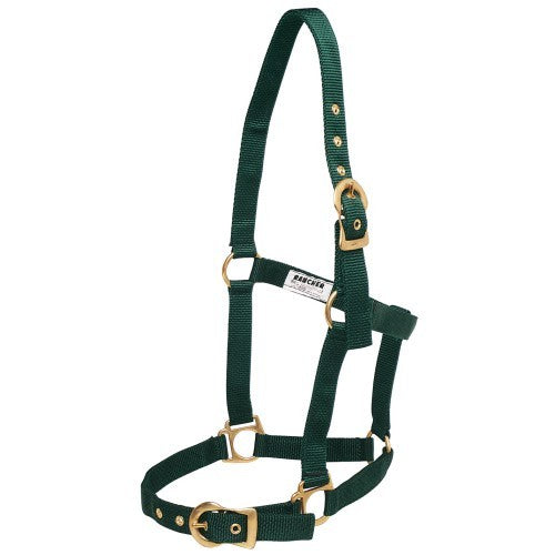 HALTER WEBB RANCHER [SIZE:COB CLR:BLACK]