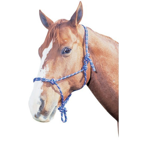 HALTER HORSEMANSHIP [Size:Cob / Pony Clr:Green]