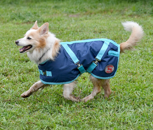 DOG COAT THERMO MASTER SUPREME - NAVY/BABY BLUE [Size:16" / 40cm]