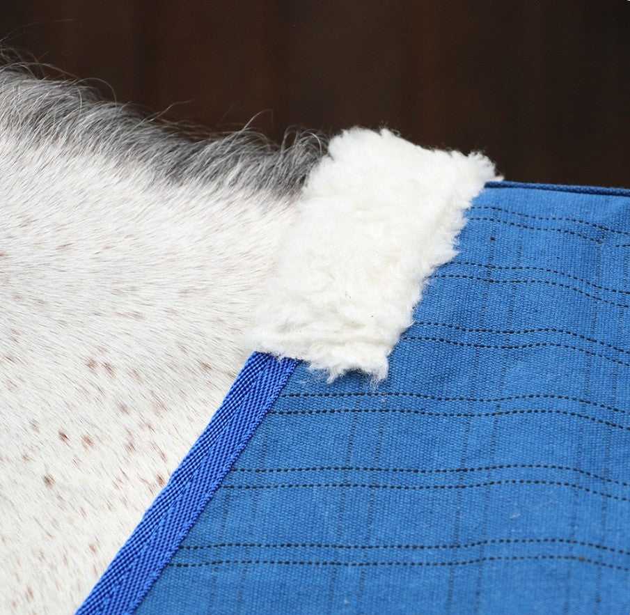 RUG CANVAS UNLINED RIPSTOP HORSEMASTER - BLUE/BLUE [Size:5'6" / 168cm]