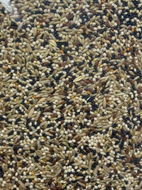 CANARY MIX [Size:2kg]