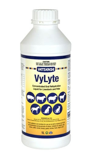 VYLYTE VETSENSE 1LTR