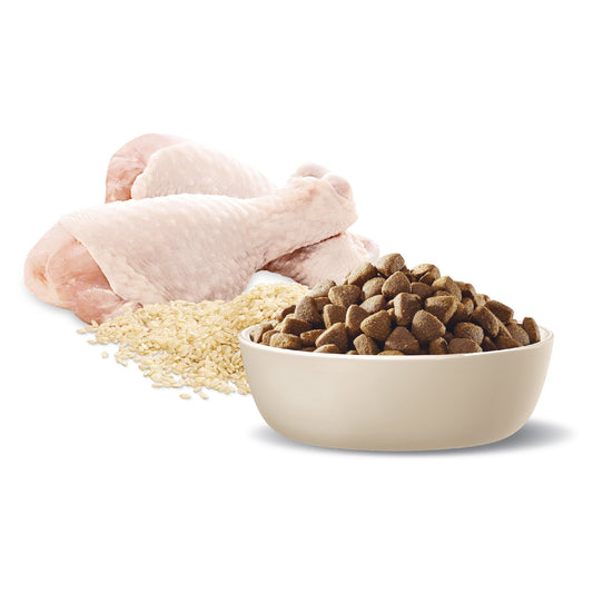 ADVANCE DOG ADULT HEALTHY AGEING MEDIUM BREED CHICKEN & RICE 15KG