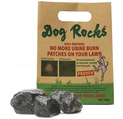 DOG ROCKS