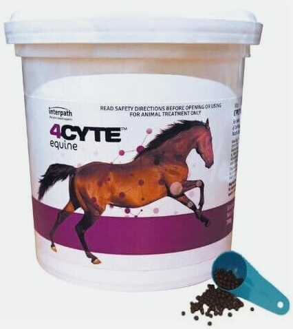 4CYTE EPIITALIS GRANULES EQUINE [Size:700gm]