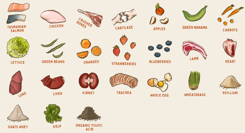 BIG DOG (12PACK) 3KG [Flvr:Tasmanian Salmon]