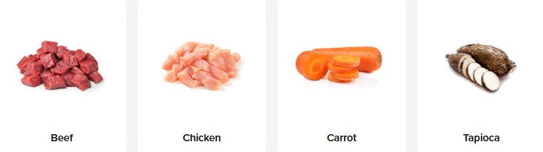 PRIME100 SPD 2KG [Flvr:Beef & Vegetable]