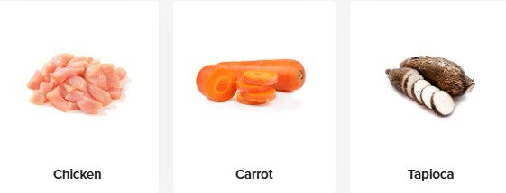 PRIME100 SPD 3KG [Flvr:Chicken & Vegetable]