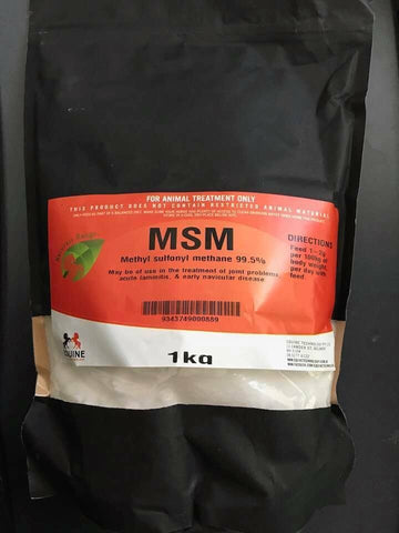 MSM EQUINE TECHNOLOGY 1KG 