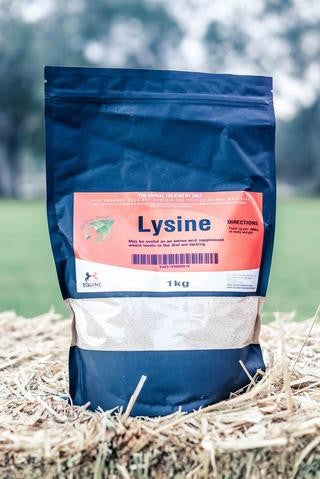 LYSINE EQUINE TECHNOLOGY 1KG