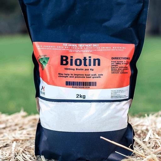 BIOTIN EQUINE TECHNOLOGY 2KG