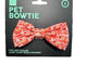 PET BOW TIE 'HEY THERE SWEETIE' [Size:Small]