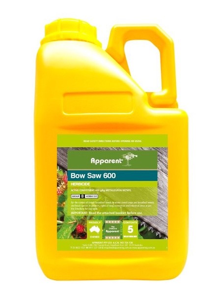 BOW SAW APPARENT [Size:500gms]