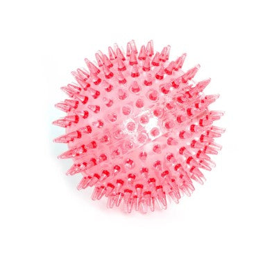 DOG TOY SPINY & SQUEAK BALL