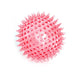 DOG TOY SPINY & SQUEAK BALL
