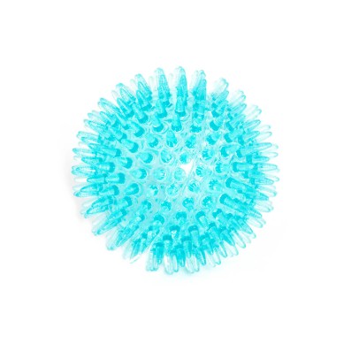 DOG TOY SPINY & SQUEAK BALL