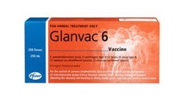 ZOETIS GLANVAC 6 VACCINE 100ML