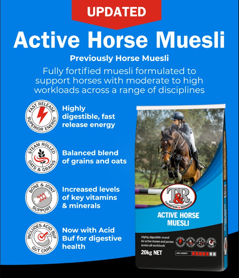 T&R ACTIVE HORSE MUESLI 20KG
