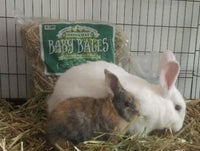 HAY BABY BALE OATEN 20LTR