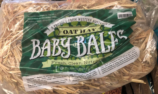 HAY BABY BALE OATEN 20LTR
