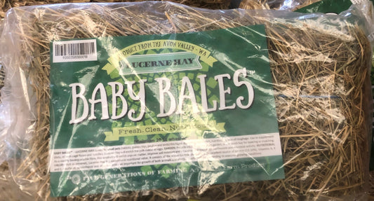 HAY BABY BALE LUCERNE 20LTR