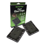 RODENT GLUE TRAPS BAINBRIDGE [Size:Mouse]