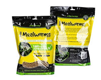 MEALWORMS DRIED [Size:750gm]